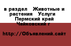  в раздел : Животные и растения » Услуги . Пермский край,Чайковский г.